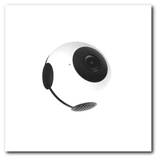 Hidden Cameras for Yard